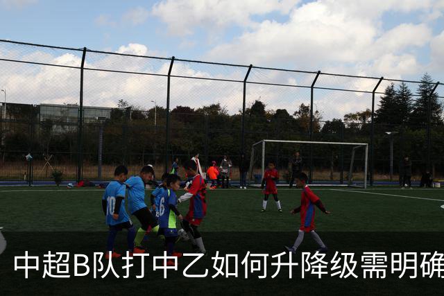 中超B队打中乙如何升降级需明确 U21联赛应改制