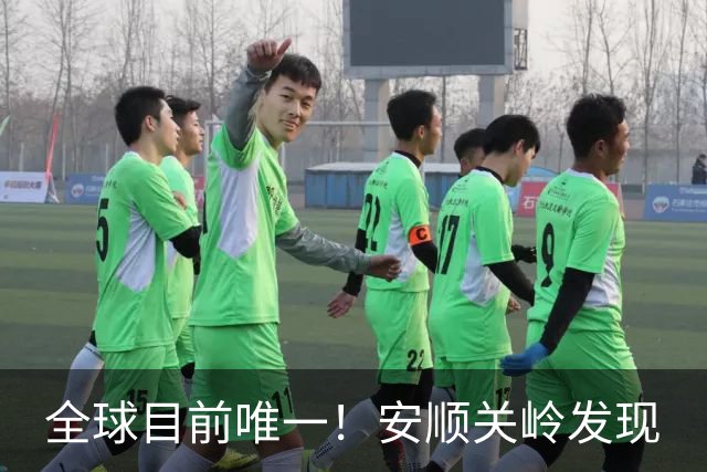 全球目前唯一！安顺关岭发现