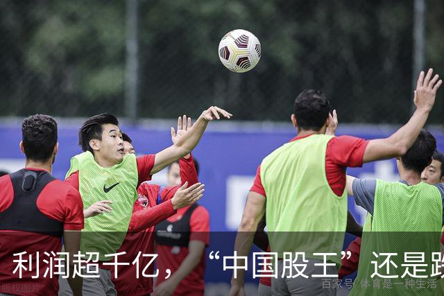 利润超千亿，“中国股王”还是跌疼了股民