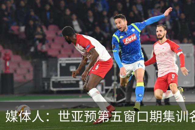 媒体人：世亚预第五窗口期集训名单已定，祝福他们