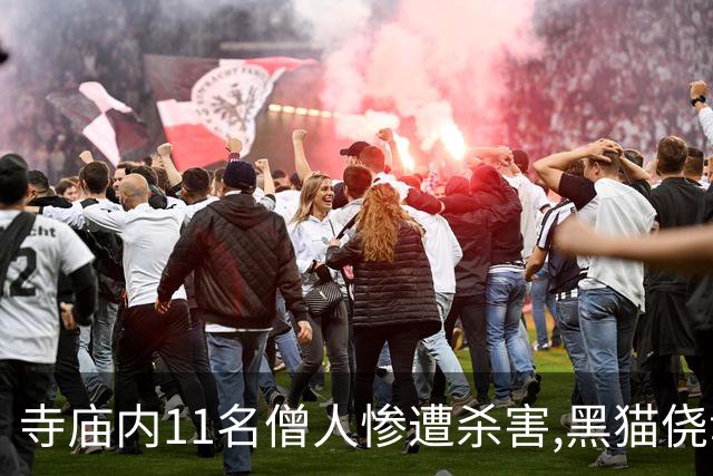 寺庙内11名僧人惨遭杀害,黑猫侥幸存活,警方赶到后它叼来一把钥匙