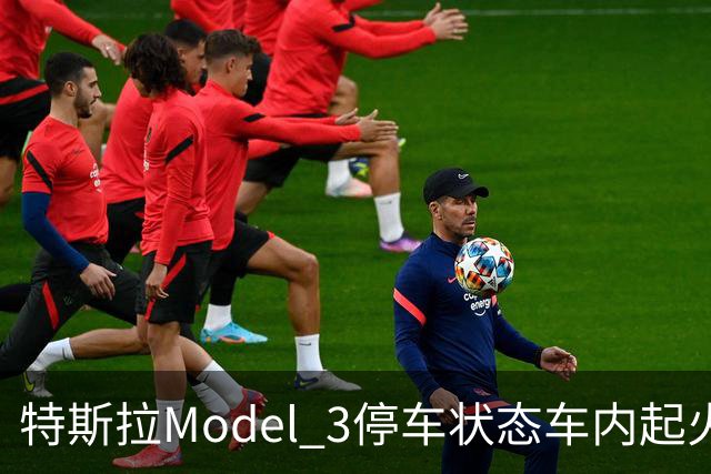 特斯拉Model 3停车状态车内起火 三星手机成怀疑对象