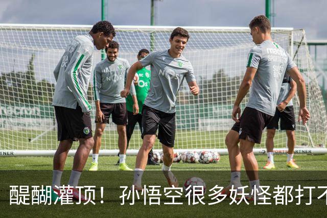 醍醐灌顶！孙悟空很多妖怪都打不过，为何神仙们却忌惮他呢？