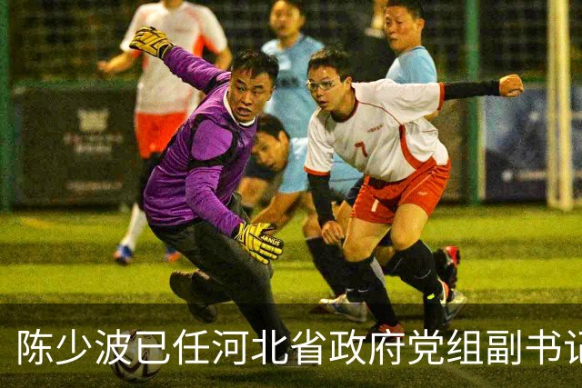 陈少波已任河北省政府党组副书记