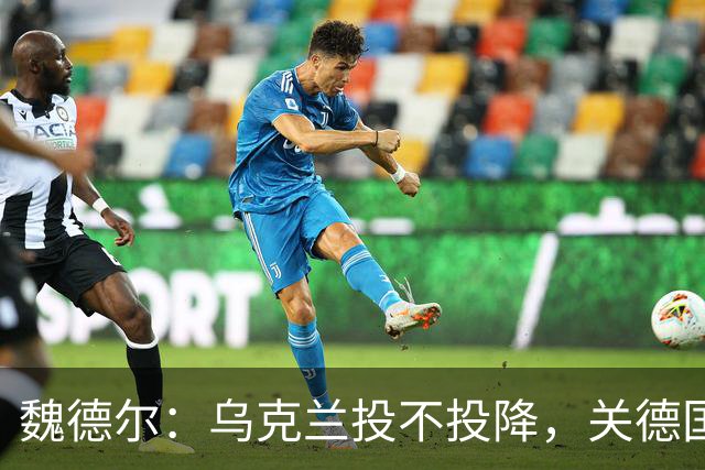 魏德尔：乌克兰投不投降，关德国什么事？欧洲什么事
