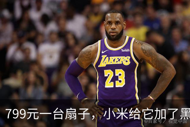 799元一台扇子，小米给它加了黑灰两色