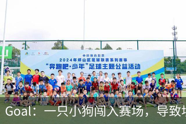 Goal：一只小狗闯入赛场，导致埃及联赛中断